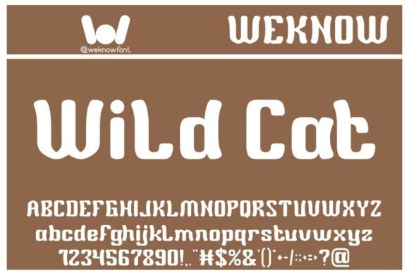 Wild Cat Font: Retro Flair for Modern Creatives